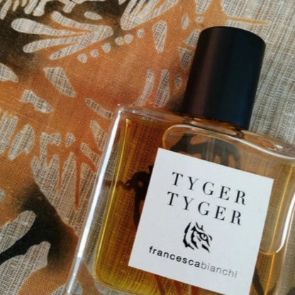 Francesca Bianchi Tyger Tyger